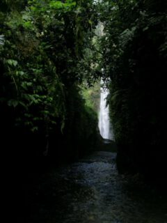 Explore the Hidden Gem of Napukuru Waterfalls π§, a breathtaking natural wonder deep within Tanzania's lush green forest, where crystal-clear water cascades through an untouched, pristine rainforest, offering a serene escape known for its vibrant vegetation, refreshing mist, and peaceful trailsβperfect for nature lovers, photographers, and adventure seekers looking for an off-the-beaten-path eco-tourism experience amidst ancient volcanic landscapes and rich biodiversity.
π₯ Join us for an authentic Tanzanian experience, where every adventure tells a story.
π Contact & Bookings:
π Website: www.rockyafricaexperience.com
π§ Email: info@rockyafricaexperience.com
π± Phone/WhatsApp: +255 713550312
Follow us for more stories and adventure inspiration!
#ExploreTanzania
#VisitTanzania
#NapukuruWaterfalls #TanzaniaNature #ExploreTanzania #WaterfallAdventures #RockyAfricaEcoExperience #HiddenGemsTanzania #EcoTourismAfrica #VisitTanzania #NatureLovers #AdventureAfrica