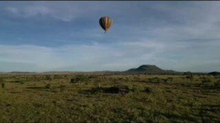 Experience the magic of a hot air balloon safariβdrifting gently above the endless savanna as the golden sunrise paints the plains below. From this breathtaking vantage point, you witness wildlife in their purest formβ¦ elephants roaming freely, giraffes gliding across the grasslands, and herds of wildebeest stretching to the horizon.
A balloon ride over the Serengeti isnβt just an activityβitβs a once-in-a-lifetime adventure that connects you deeply with the wild, offering a peaceful and exe. A truly unforgettable stop on any Tanzania safari!
π₯ Join us for an authentic Tanzanian experience, where every adventure tells a story.
π Contact & Bookings:
π Website: www.rockyafricaexperience.com
π§ Email: info@rockyafricaexperience.com
π± Phone/WhatsApp: +255 713550312
Follow us for more stories and adventure inspiration!
#ExploreTanzania
#VisitTanzania
#TanzaniaSafari
#SafariAdventure
#AfricanSafari
#WildAfrica
#TanzaniaWildlife
#LuxurySafari
#SafariLife
#IntoTheWild
#RockyAfricaExperience
#SerengetiBalloonSafari #HotAirBalloonAdventure #TanzaniaSafari #SerengetiNationalPark #BucketListExperience #WildlifeViews #AfricanSunrise