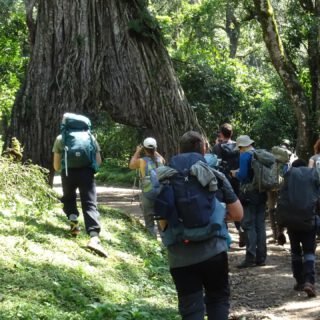 Challenging, rewarding, and beautiful trek up Mount Meru. From hiking through the forests where you might spot buffalos, to navigating the alpine desert, this mountain is a true adventure! We were perfectly guided every step of the way, ensuring a safe and memorable climb. Highly recommend this incredible journey in Arusha National Park!"
π₯ Join us for an authentic Tanzanian experience, where every adventure tells a story.
π Contact & Bookings:
π Website: www.rockyafricaexperience.com
π§ Email: info@rockyafricaexperience.com
π± Phone/WhatsApp: +255 713550312
Follow us for more stories and adventure inspiration!
#ArushaNationalPark #TanzaniaAdventures #ExploreTanzania #RockyAfricaExperience #Mount Meru #MeruSummit #TravelTanzania #BucketListAfrica #SummitSuccess