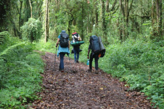 Experience the raw majesty of Mount Kilimanjaro, where the air is thin but the rewards are infinite. With our world-class guides navigating every step, the summit isn’t just a goal—it’s your new reality.
🎥Join us for an authentic Tanzanian experience, where every adventure tells a story.
📞 Contact & Bookings:
🌍 Website: www.rockyafricaexperience.com
📧 Email: info@rockyafricaexperience.com
📱 Phone/WhatsApp: +255 713550312
Follow us for more stories and adventure inspirations!
#RockyAfricaExperience
#ClimbKilimanjaro
#RoofOfAfrica
#KilimanjaroExperience
#TanzaniaAdventure
#ExploreTanzania
#HikingAfrica
#SummitViews
#TravelAfrica
#2026Adventures