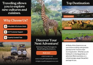 At Rocky Africa Experience, we don't just sell trips; we engineer the unforgettable. Whether you are standing on the "Roof of Africa" at Kilimanjaro’s snow-capped peak, witnessing the raw power of the Great Migration in the Serengeti, or descending into the prehistoric wonder of the Ngorongoro Crater—we take you beyond the guidebook.
🎥Join us for an authentic Tanzanian experience, where every adventure tells a story.
📞 Contact & Bookings:
🌍 Website: www.rockyafricaexperience.com
📧 Email: info@rockyafricaexperience.com
📱 Phone/WhatsApp: +255 713550312
Follow us for more stories and adventure inspirations!
#RockyAfricaExperience
#ClimbKilimanjaro
#SerengetiMagic
#WildAfrica
#SafariLife
#SerengetiMagic
#NgorongoroCrater
#NatureAtItsBest
#UntamedBeauty
#AfricanWildlife
#IntoTheWild
#ExploreTanzania
#LuxurySafari