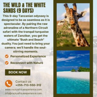 Experience the perfect harmony of adrenaline and serenity with our 9-day "Wild & White Sands" journey. Witness the "Big Five" roam the untamed plains of the Serengeti, then trade your safari khakis for swimwear on the powder-white shores of Zanzibar.
🎥Join us for an authentic Tanzanian experience, where every adventure tells a story.
📞 Contact & Bookings:
🌍 Website: www.rockyafricaexperience.com
📧 Email: info@rockyafricaexperience.com
📱 Phone/WhatsApp: +255 713550312
Follow us for more stories and adventure inspirations!
#RockyAfricaExperience
#WildAndWhiteSands
#TanzaniaSafari
#SerengetiNationalPark
#NgorongoroCrater
#ZanzibarEscape
#BushAndBeach
#LuxurySafar