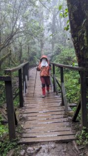 This isn't just a hike; it's a transformation. From the emerald mist of the rain forest to the ancient glaciers of the summit, we handle every detail of the logistics so you can focus on the climb of a lifetime. 

Are you ready to be extraordinary? 🎥 Join us for an authentic Tanzanian experience, where every adventure tells a story. The 2026/2027 seasons are calling—will you answer?

Plan Your Journey with Rocky Africa:
🌍 Website: www.rockyafricaexperience.com
📧 Email: info@rockyafricaexperience.com
📱 WhatsApp: +255 713 550 312

Follow us for more stories and adventure inspiration! 
#KilimanjaroTrek #AdventureAwaits #HikingLife