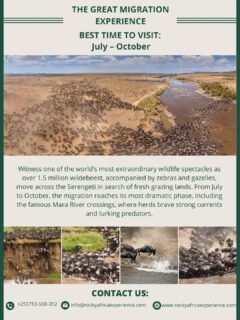 Where the wild writes its own story—one step, one risk, one survival at a time. 🐾

Book your spot today to see the "Greatest Show on Earth."

📩 Email: info@rockyafricaexperience.com
📞 Call/WhatsApp: +255 713 550 312
🌐 Explore more: www.rockyafricaexperience.com

#WildebeestMigration #GreatMigration #TanzaniaSafari #SerengetiNationalPark  #NatureInMotion #SafariExperience  #AfricanAdventure #TravelAfrica #BucketListTravel #WildlifePhotography  #MigrationSeason