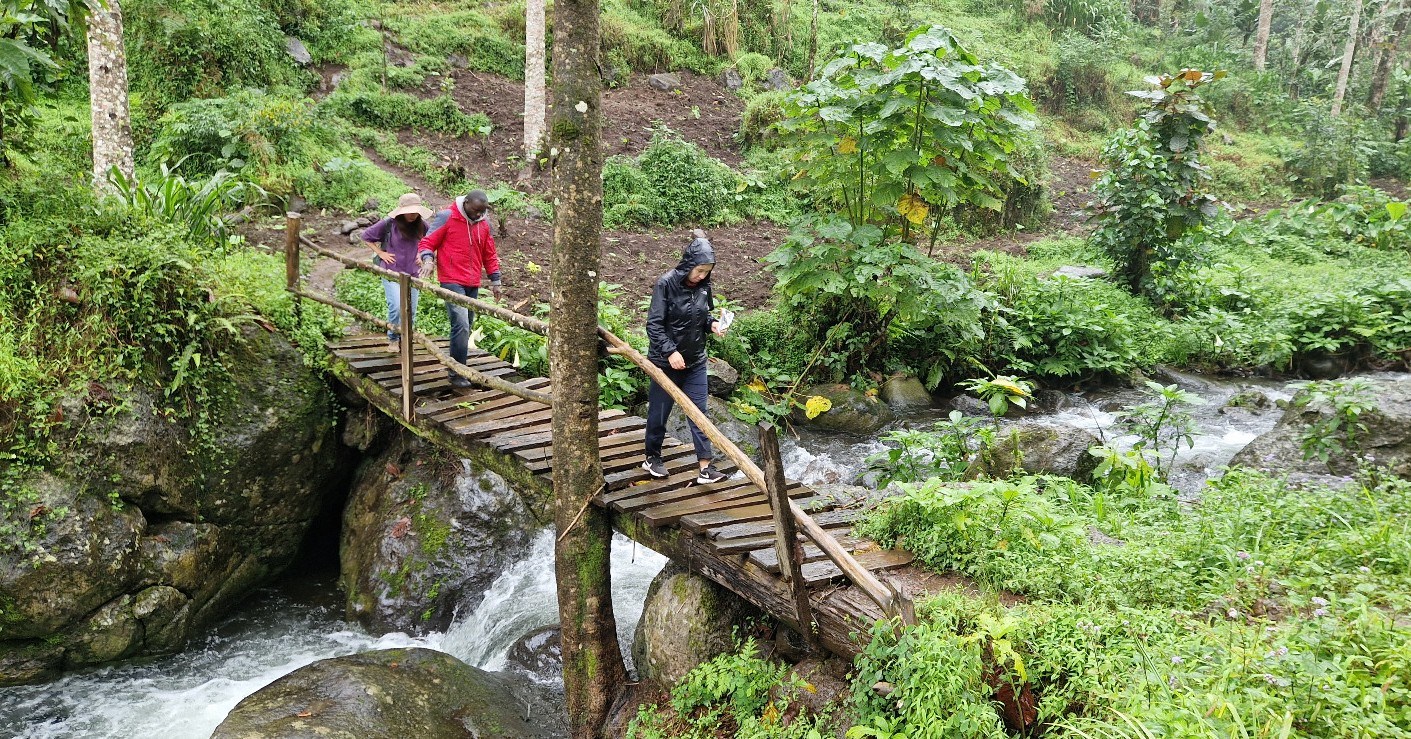 Step away from the ordinary and uncover breathtaking hidden gems, where scenic village hikes wind through lush coffee farms and rainforest trails. At the end of the journey, you’re rewarded with nature at its finest—cool mist, fresh mountain air, and a chance to truly unwind.
Ready to refresh your mind and body in nature’s purest setting?

📩 Email: info@rockyafricaexperience.com
📞 Call/WhatsApp: +255 713 550 312
🌐 Explore more: www.rockyafricaexperience.com

#HiddenGemsTanzania #KilimanjaroDayTrip #TanzaniaTravel #VisitTanzania #MoshiTanzania #ArushaAdventures #WaterfallHike #NatureEscape #EcoTravelAfrica #ExploreTanzania #HiddenGemsAfrica #AdventureTravel #KilimanjaroFoothills #SustainableTravel