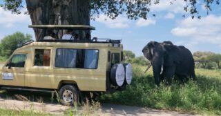 Experience Tarangire’s legendary elephant herds from the intimate comfort of your private safari vehicle. In the heart of Tanzania, every moment is an encounter and every encounter is a memory for a lifetime.

Tap the link in our bio or message us to book your 2026 safari today!

#TanzaniaSafari #TarangireNationalPark #AfricanSafari #WildlifeExperience #SafariAdventure #VisitTanzania #ElephantEncounter #LuxurySafari #TravelAfrica #SafariLife