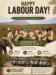 Today we celebrate the strength behind every journey—the hands that build, guide, and make every safari unforgettable.
From the wild plains to the mountain paths, it’s our dedicated team that turns every moment into a story worth telling.

Happy Labour Day to the incredible people who make adventure possible.

📩 Email: info@rockyafricaexperience.com
📞 Call/WhatsApp: +255 713 550 312
🌐 Explore more: www.rockyafricaexperience.com

#HappyLabourDay #RockyAfricaExperience #Teamwork #Dedication  #ExploreTanzania #SafariExperts #BehindTheScenes #TravelWithPurpose #AfricanAdventures #TourismLife #Kilimanjaro #Serengeti #Ngorongoro #Tarangire #AdventureAwaits #ProudTeam #WorkWithPassion