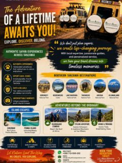At Rocky Africa Experience, we go beyond ordinary travel — we create meaningful journeys filled with wildlife encounters, stunning landscapes, rich culture, and unforgettable moments. Whether you dream of witnessing the Great Migration, climbing Africa’s highest peak, cycling through scenic mountain trails, or relaxing on the crystal-clear beaches of Zanzibar and Pemba Island, your perfect adventure begins here.
📍 Explore Northern Tanzania & Tropical Island Paradise
📸 Perfect for Couples, Families, Groups & Adventure Seekers
Let nature lead the way while Rocky Africa Experience turns your travel dreams into unforgettable memories.
📞 WhatsApp: +255 713 550 312
📧 info@rockyafricaexperience.com
🌐 www.rockyafricaexperience.com
#RockyAfricaExperience #TanzaniaSafari #ExploreTanzania #SerengetiSafari #KilimanjaroClimb #ZanzibarBeach #PembaIsland #AfricanAdventure #SafariLife #TravelAfrica #NatureLovers #BigFiveSafari #LuxurySafari #AdventureAwaits #VisitTanzania #WildlifePhotography #HikingAdventure #CyclingAdventure