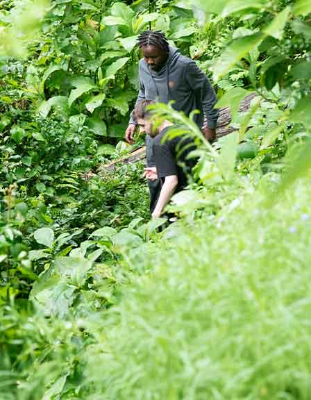 FAR FAR OFF THE BEATEN PATH