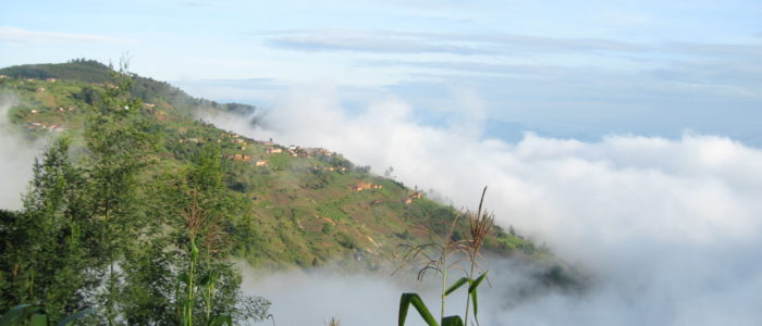 aankoop-MamboViewPoint-158-700x300